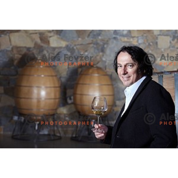 Marjan Simcic , slovenian winemaker from Ceglo in Goriska Brda at his wine cellar on February 5, 2016