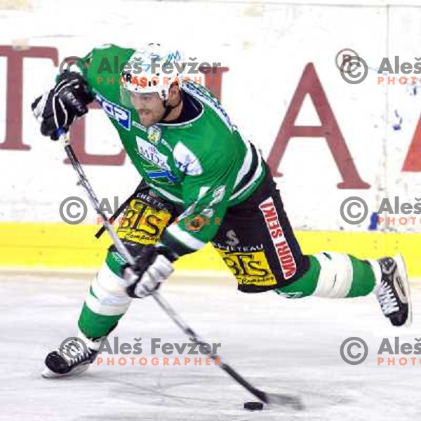 Kevin Mitchel shoots at the first game of EBEL , ZM Olimpija : KAC 