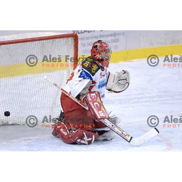 Andrew Verner receives the goal for 1:0 at the first game of EBEL , ZM Olimpija : KAC 