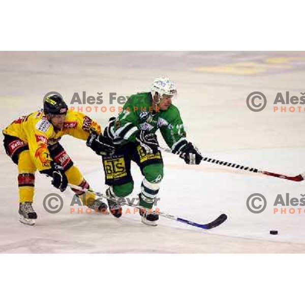 Fox (76) tries to stop Mccarthy at match ZM Olimpija- Vienna Capitals in 4th round of EBEL league played in Ljubljana, Slovenia on 30.9.2007. ZM Olimpija won after penalty shot-out 4:3. Photo by Ales Fevzer 