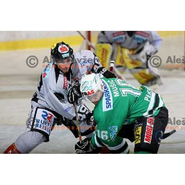 Music (16) and Day (49) at match ZM Olimpija-Graz 99er in Ebel league,played in Ljubljana,Slovenia 9.10.2007. Photo by Ales Fevzer 