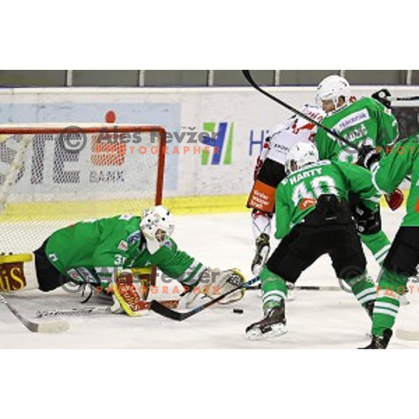 of Olimpija Ljubljana in action during ice-hockey match between Olimpija Ljubljana and Innsbruck in EBEL league 2016/2017 in Tivoli Hall, Ljubljana, Slovenia on September 25, 2016