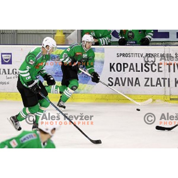 of Olimpija Ljubljana in action during ice-hockey match between Olimpija Ljubljana and Innsbruck in EBEL league 2016/2017 in Tivoli Hall, Ljubljana, Slovenia on September 25, 2016