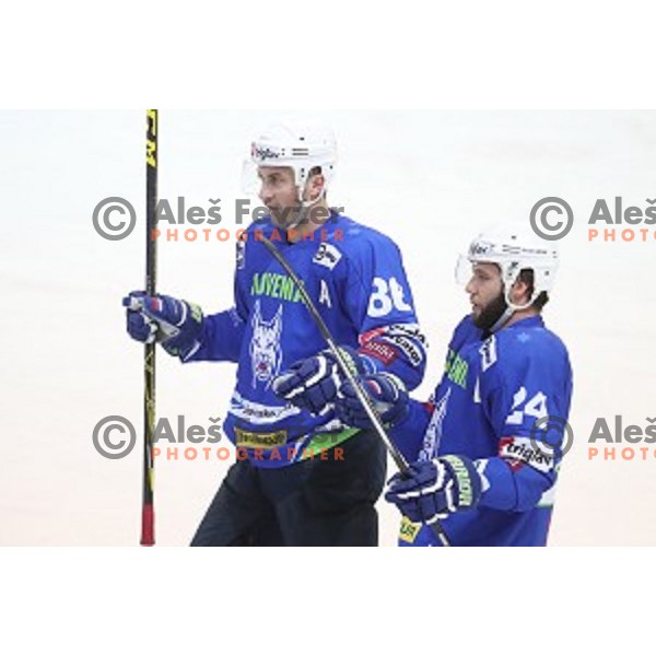 Sabahudin Kovacevic, Rok Ticar of Slovenia in action during EIHC Challenge ice-hockey match between Slovenia and France in Bled Ice Hall, Slovenia on November 4, 2016