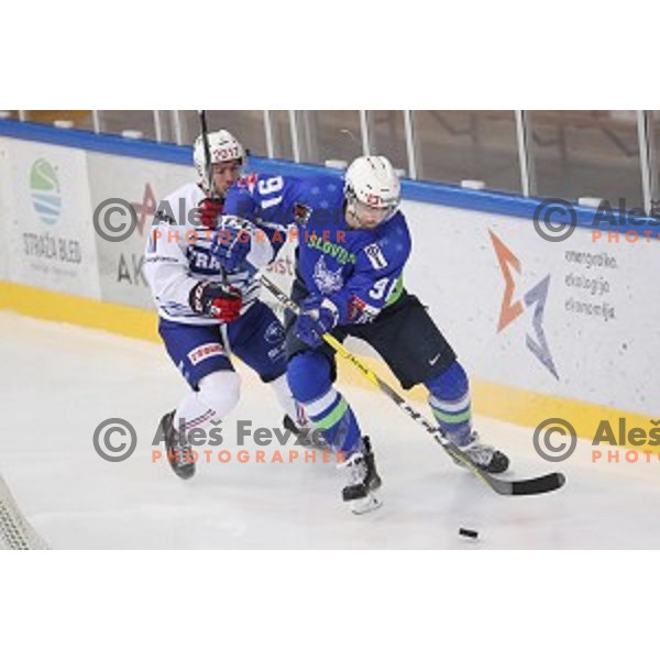 Miha Verlic of Slovenia in action during EIHC Challenge ice-hockey match between Slovenia and France in Bled Ice Hall, Slovenia on November 4, 2016
