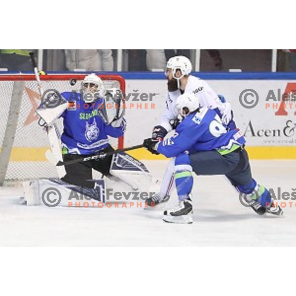 Matija Pintaric of Slovenia in action during EIHC Challenge ice-hockey match between Slovenia and France in Bled Ice Hall, Slovenia on November 4, 2016