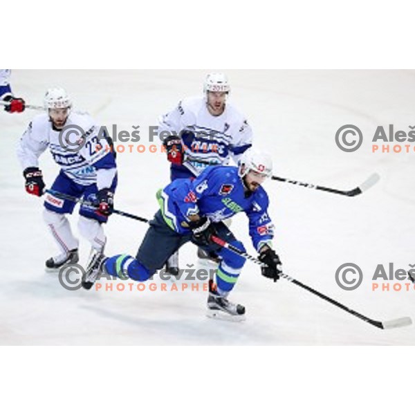 of Slovenia in action during EIHC Challenge ice-hockey match between Slovenia and France in Bled Ice Hall, Slovenia on November 4, 2016
