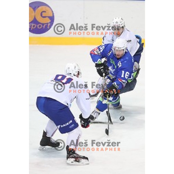 Ales Music of Slovenia in action during EIHC Challenge ice-hockey match between Slovenia and France in Bled Ice Hall, Slovenia on November 4, 2016