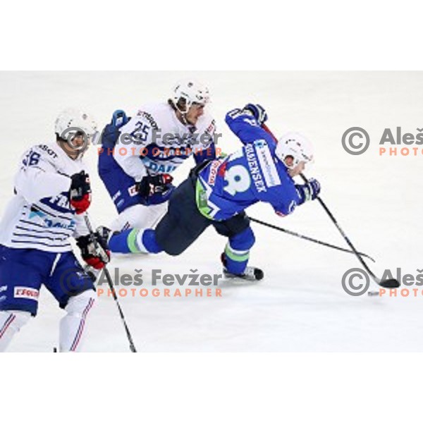 Ken Ograjensek of Slovenia in action during EIHC Challenge ice-hockey match between Slovenia and France in Bled Ice Hall, Slovenia on November 4, 2016