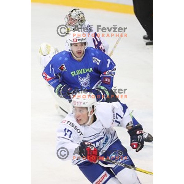 Bostjan Golicic of Slovenia in action during EIHC Challenge ice-hockey match between Slovenia and France in Bled Ice Hall, Slovenia on November 4, 2016