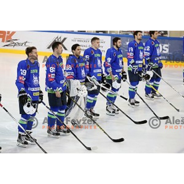 of Slovenia in action during EIHC Challenge ice-hockey match between Slovenia and France in Bled Ice Hall, Slovenia on November 4, 2016