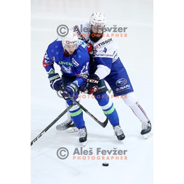 Rok Ticar of Slovenia in action during EIHC Challenge ice-hockey match between Slovenia and France in Bled Ice Hall, Slovenia on November 4, 2016