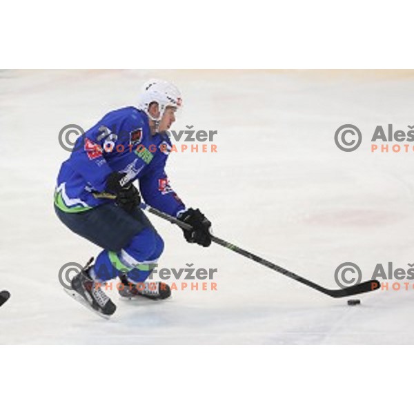 Nik Pem of Slovenia in action during EIHC Challenge ice-hockey match between Slovenia and France in Bled Ice Hall, Slovenia on November 4, 2016
