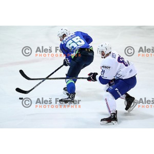 Robert Sabolic of Slovenia in action during EIHC Challenge ice-hockey match between Slovenia and France in Bled Ice Hall, Slovenia on November 4, 2016