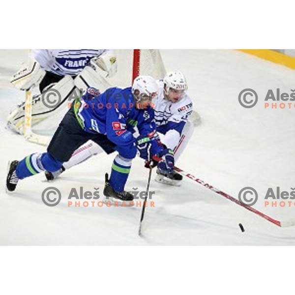 Bostjan Golicic of Slovenia in action during EIHC Challenge ice-hockey match between Slovenia and France in Bled Ice Hall, Slovenia on November 4, 2016
