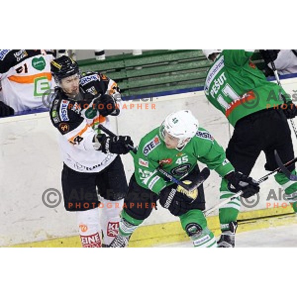 Ken Ograjensek of Graz and Maks Selan of Olimpija Ljubljana fights during ice-hockey match between Olimpija Ljubljana and Graz Moser Medical 99ers in EBEL league 2016/2017 in Tivoli Hall, Ljubljana, Slovenia on January 29, 2017