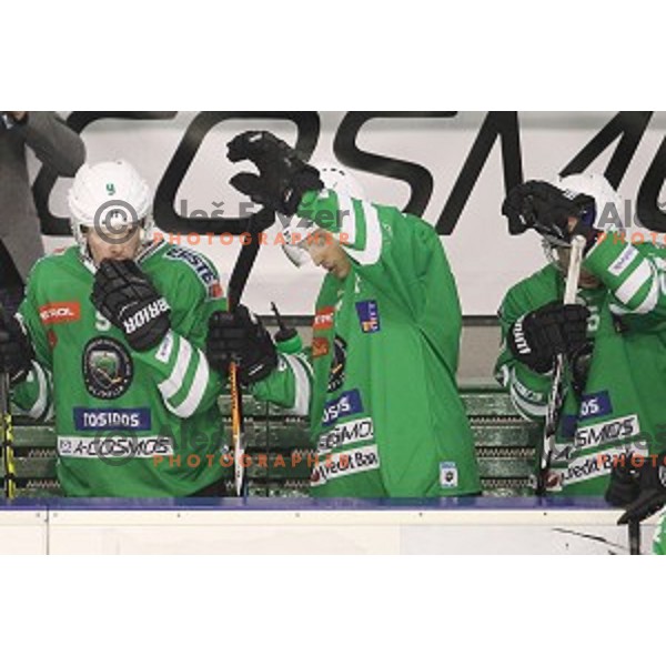 of Olimpija Ljubljana in action during ice-hockey match between Olimpija Ljubljana and Graz Moser Medical 99ers in EBEL league 2016/2017 in Tivoli Hall, Ljubljana, Slovenia on January 29, 2017