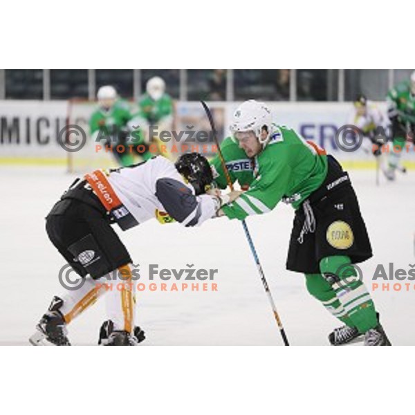 of Olimpija Ljubljana in action during ice-hockey match between Olimpija Ljubljana and Dornbirn in EBEL league 2016/2017 in Tivoli Hall, Ljubljana, Slovenia on February 4, 2017