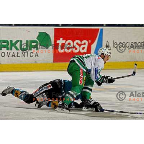 ice-hockey match ZM Olimpija- Black Wings Linz in EBEL league, played in Ljubljana 28.10.2007. Photo by Ales Fevzer 