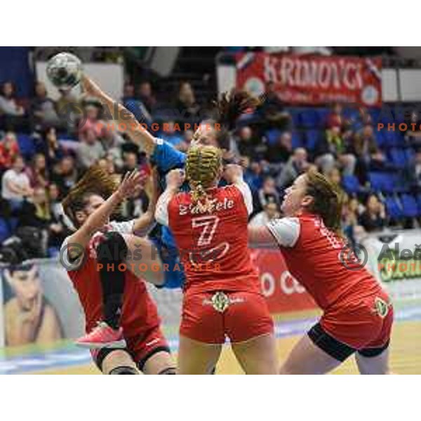 in action during Slovenian Cup handball match between Celje and Krim Mercator in Golovec Hall, Celje on April 23, 2017
