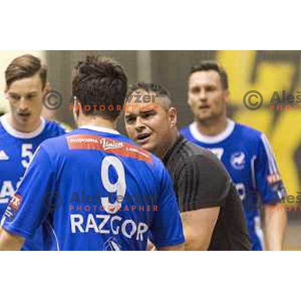 Celje’s head coach Branko Tamse reacting during 1 NLB Leasing League match between Gorenje and Celje PL, in Velenje, on April 26th, 2017 
