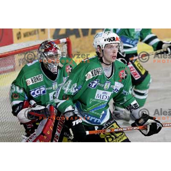 Westlund (30) and Tavzelj (44) atice-hockey match ZM Olimpija- Innsbruck in EBEL league , played in Ljubljana (Slovenia) 11.11.2007. Photo by Ales Fevzer 
