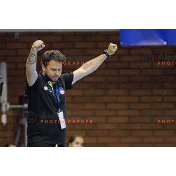 Slovenia’s head coach Uros Bregar celebrating during Women’s World Cup qualification handball match between Slovenia and Croatia in Golovec Hall, Celje on June 15th, 2017