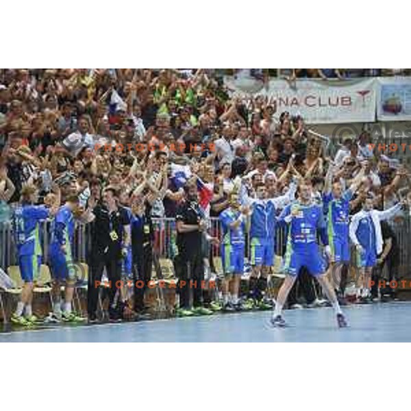 in action during Euro 2018 Qualifiers handball match between Slovenia and Portugal in Bonifika Hall, Koper, Slovenia on June 17, 2017
