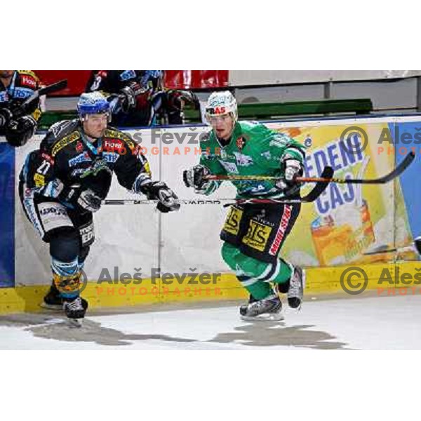 Gruber (27) and Music (16) at match ZM Olimpija- Linz in Ebel league,played in Ljubljana (Slovenia) 23.11.2007. Photo by Ales Fevzer 