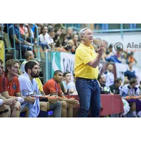 Serdarusic Zvonimir in action during friendly handball game between Maribor and Paris SG in Tabor Hall, Maribor, Slovenia on August 11, 2017