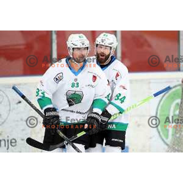Matic Kralj and Andrej Hebar in action during Alps League ice-hockey match between SIJ Acroni Jesenice and SZ Olimpija in Podmezakla Hall, Jesenice, Slovenia on October 14, 2017