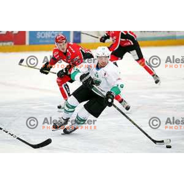 Miha Pesjak in action during Alps League ice-hockey match between SIJ Acroni Jesenice and SZ Olimpija in Podmezakla Hall, Jesenice, Slovenia on October 14, 2017