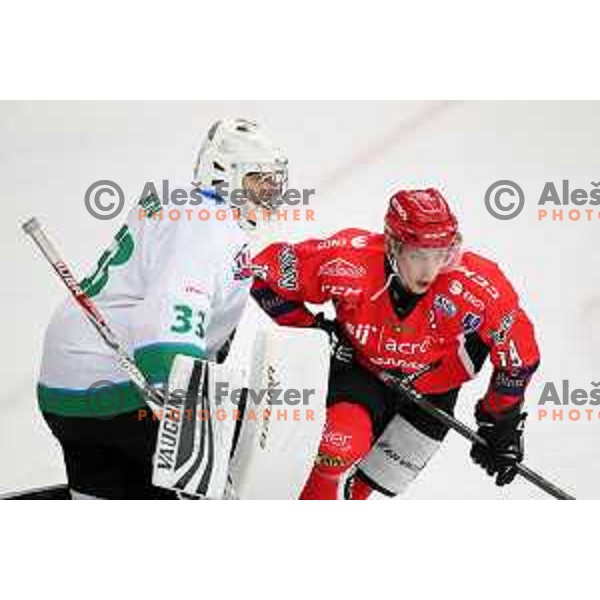 Robert Kristan in action during Alps League ice-hockey match between SIJ Acroni Jesenice and SZ Olimpija in Podmezakla Hall, Jesenice, Slovenia on October 14, 2017