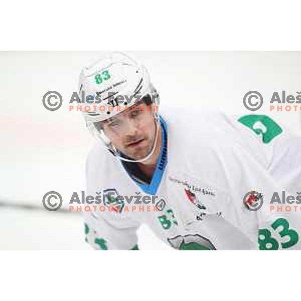 Matic Kralj in action during Alps League ice-hockey match between SIJ Acroni Jesenice and SZ Olimpija in Podmezakla Hall, Jesenice, Slovenia on October 14, 2017