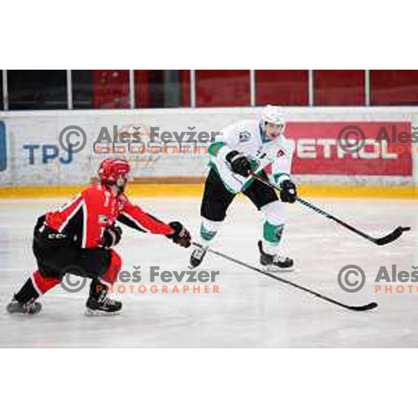 Luka Zorko in action during Alps League ice-hockey match between SIJ Acroni Jesenice and SZ Olimpija in Podmezakla Hall, Jesenice, Slovenia on October 14, 2017