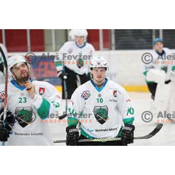 Aljaz uduc in action during Alps League ice-hockey match between SIJ Acroni Jesenice and SZ Olimpija in Podmezakla Hall, Jesenice, Slovenia on October 14, 2017