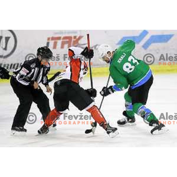  action during Alps League ice-hockey match between SZ Olimpija and SIJ Acroni Jesenice in Tivoli Hall, Ljubljana, Slovenia on October 25, 2017