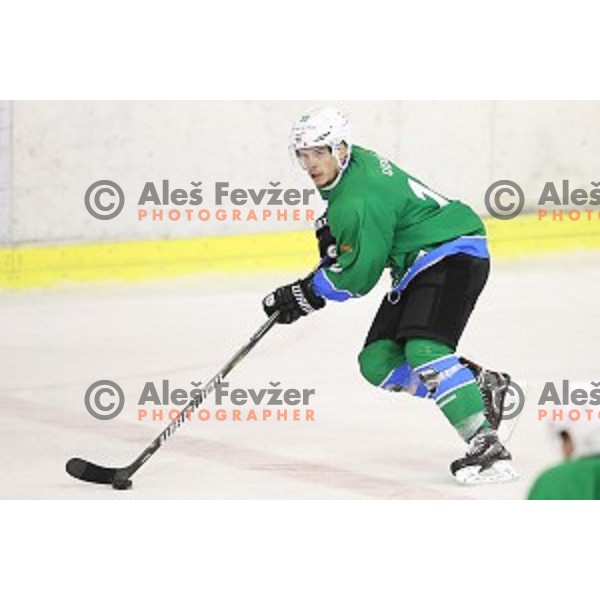 Aljaz uduc in action during Alps League ice-hockey match between SZ Olimpija and SIJ Acroni Jesenice in Tivoli Hall, Ljubljana, Slovenia on October 25, 2017
