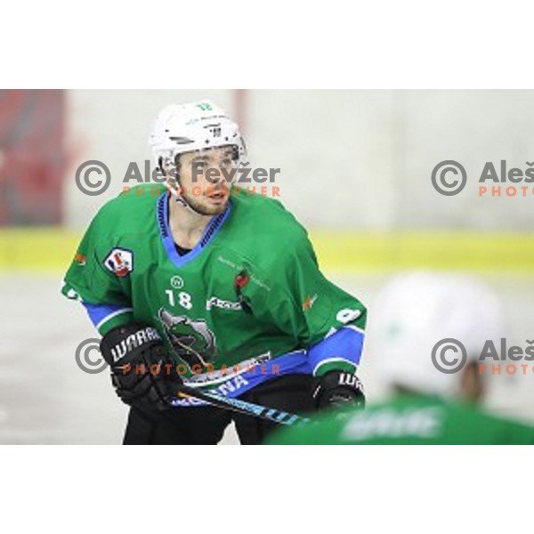 Miha Pesjak in action during Alps League ice-hockey match between SZ Olimpija and SIJ Acroni Jesenice in Tivoli Hall, Ljubljana, Slovenia on October 25, 2017
