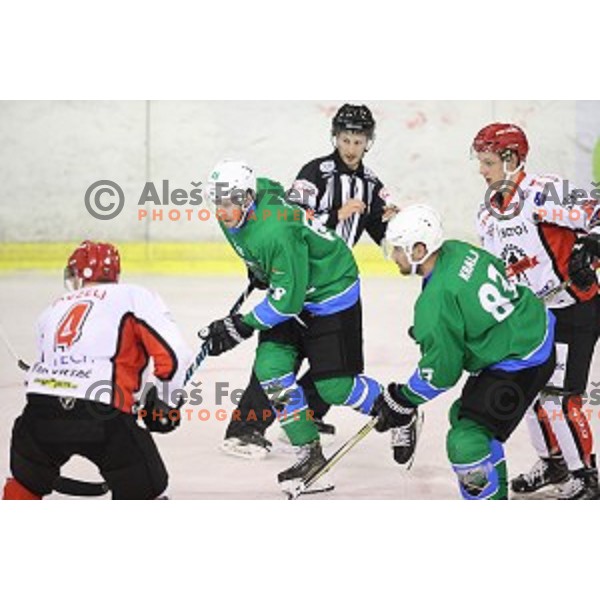 action during Alps League ice-hockey match between SZ Olimpija and SIJ Acroni Jesenice in Tivoli Hall, Ljubljana, Slovenia on October 25, 2017