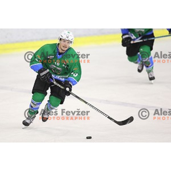 Aljaz Uduc in action during Alps League ice-hockey match between SZ Olimpija and SIJ Acroni Jesenice in Tivoli Hall, Ljubljana, Slovenia on October 25, 2017
