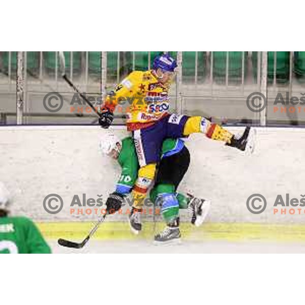 of Olimpija in action during Alps League ice-hockey match between Olimpija and Asiago in Tivoli Hall, Ljubljana, Slovenia on November 29, 2017