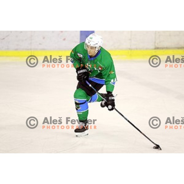 Maks Selan of SZ Olimpija in action during Alps League ice-hockey match between SZ Olimpija and Asiago in Tivoli Hall, Ljubljana, Slovenia on November 29, 2017