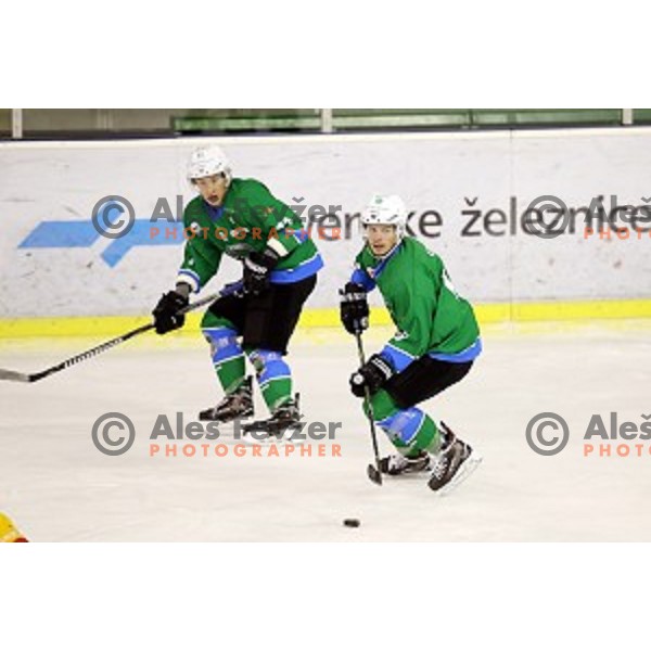 Aljaz Uduc of SZ Olimpija in action during Alps League ice-hockey match between SZ Olimpija and Asiago in Tivoli Hall, Ljubljana, Slovenia on November 29, 2017