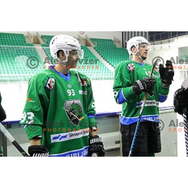 Nik Sitar and Bostjan Groznik of SZ Olimpija in action during Alps League ice-hockey match between SZ Olimpija and Asiago in Tivoli Hall, Ljubljana, Slovenia on November 29, 2017