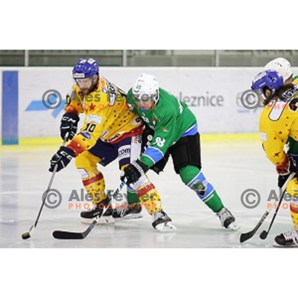 Miha Zajc of SZ Olimpija in action during Alps League ice-hockey match between SZ Olimpija and Asiago in Tivoli Hall, Ljubljana, Slovenia on November 29, 2017