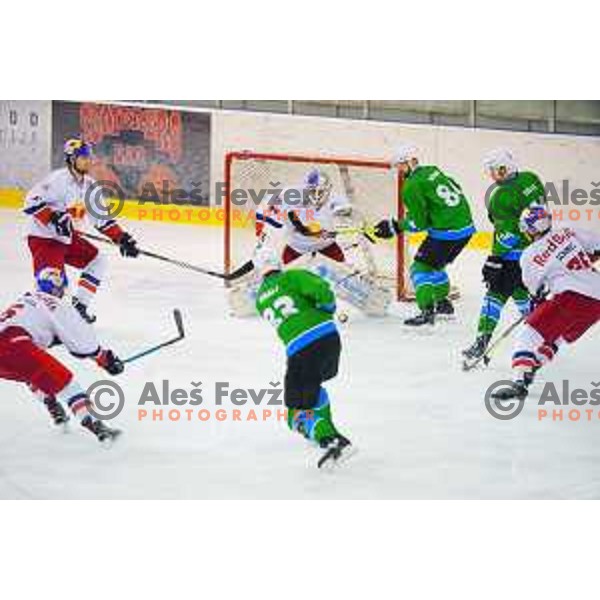 of SZ Olimpija in action during Alps League ice-hockey match between SZ Olimpija and Red Bulls Salzburg 2 in Tivoli Hall, Ljubljana, Slovenia on December 28, 2017