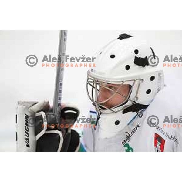 Robert Kristan of SZ Olimpija during Alps League ice-hockey match between SIJ Acroni Jesenice and SZ Olimpija in Podmezakla Hall, Jesenice, Slovenia on December 30, 2017