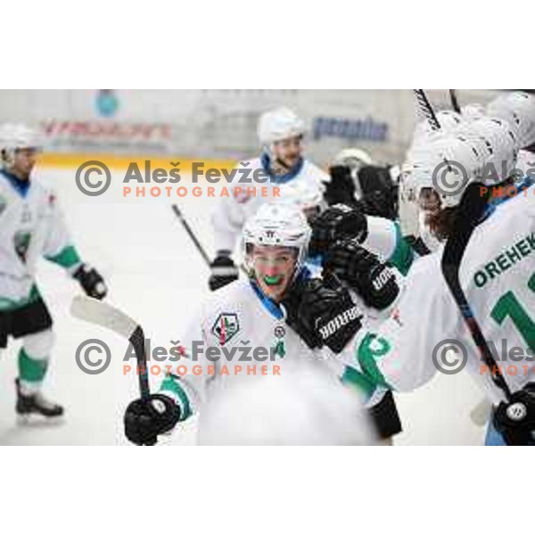 Andraz Zibelnik of SZ Olimpija during Alps League ice-hockey match between SIJ Acroni Jesenice and SZ Olimpija in Podmezakla Hall, Jesenice, Slovenia on December 30, 2017