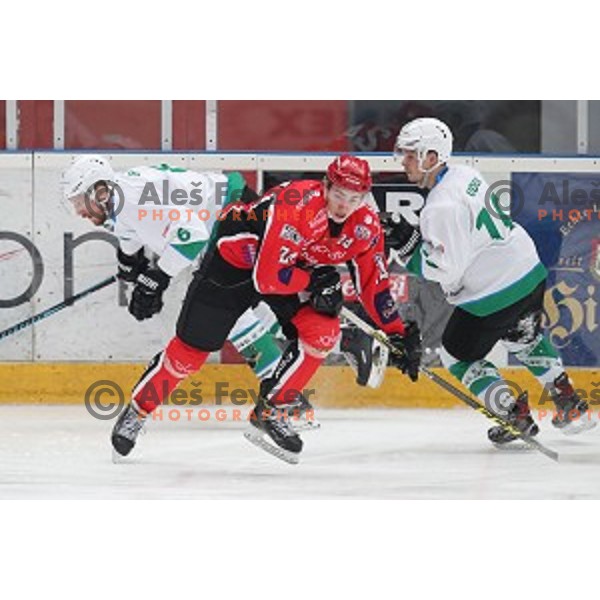 Jaka Sturm and Aljaz Uduc in action during Alps League ice-hockey match between SIJ Acroni Jesenice and SZ Olimpija in Podmezakla Hall, Jesenice, Slovenia on December 30, 2017